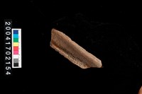 藏品(繩紋罐口)的圖片