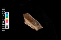 藏品(罐口-帶紋)的圖片