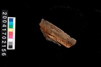 藏品(繩紋罐口)的圖片