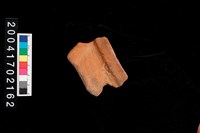 藏品(繩紋罐口)的圖片