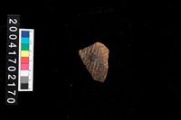 藏品(繩紋折肩)的圖片