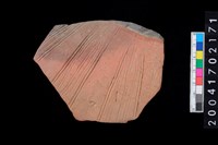 藏品(腹片-帶紋)的圖片