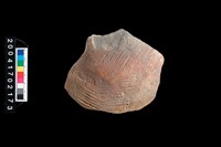 藏品(繩紋腹片)的圖片