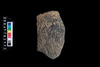 藏品(繩紋腹片)的圖片