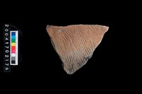 藏品(繩紋腹片)的圖片