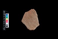 藏品(繩紋腹片)的圖片