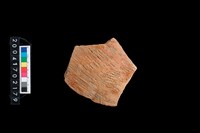 藏品(繩紋腹片)的圖片