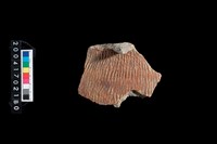 藏品(腹片-帶紋)的圖片