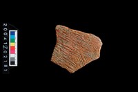 藏品(繩紋腹片)的圖片