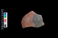 藏品(繩紋腹片)的圖片