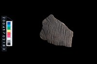 藏品(繩紋腹片)的圖片