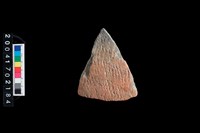 藏品(繩紋腹片)的圖片