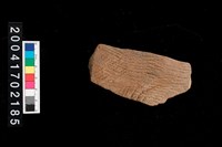 藏品(繩紋腹片)的圖片