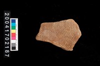 藏品(繩紋腹片)的圖片