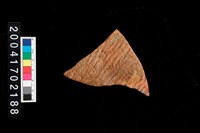 藏品(繩紋腹片)的圖片