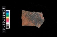 藏品(繩紋腹片)的圖片