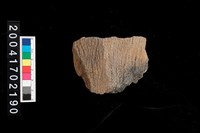 藏品(繩紋腹片)的圖片