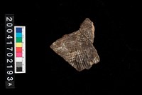 藏品(繩紋腹片)的圖片