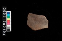 藏品(繩紋腹片)的圖片