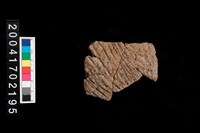 藏品(繩紋腹片)的圖片