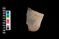 藏品(繩紋腹片)的圖片