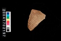 藏品(繩紋腹片)的圖片