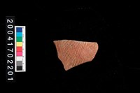 藏品(繩紋腹片)的圖片