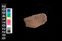 藏品(繩紋腹片)的圖片