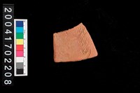 藏品(腹片-帶紋)的圖片