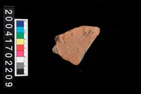 藏品(腹片-帶紋)的圖片