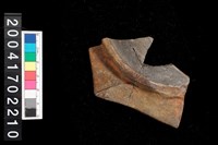 藏品(底部)的圖片