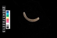 藏品(陶環)的圖片