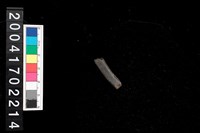 藏品(陶環)的圖片