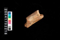 藏品(不明獸骨)的圖片