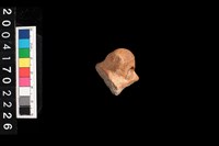 藏品(鈕把)的圖片