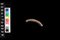 藏品(陶環)的圖片