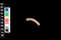 藏品(陶環)的圖片