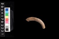 藏品(陶環)的圖片