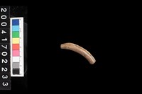 藏品(陶環)的圖片