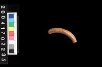 藏品(陶環)的圖片