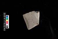 藏品(石錛)的圖片