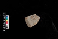 藏品(磨製石斧)的圖片