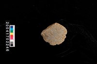 藏品(磨製石斧)的圖片