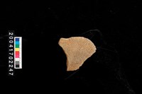 藏品(磨製石斧)的圖片