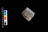 藏品(石錛)的圖片