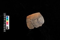 藏品(缽口)的圖片