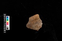 藏品(缽口)的圖片