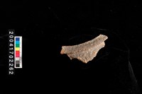 藏品(繩紋罐口)的圖片