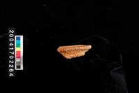 藏品(繩紋罐口)的圖片