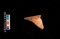 藏品(罐口)的圖片